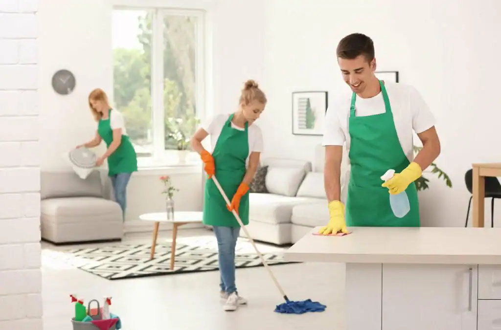 Regular House Cleaning Service in Wellington
