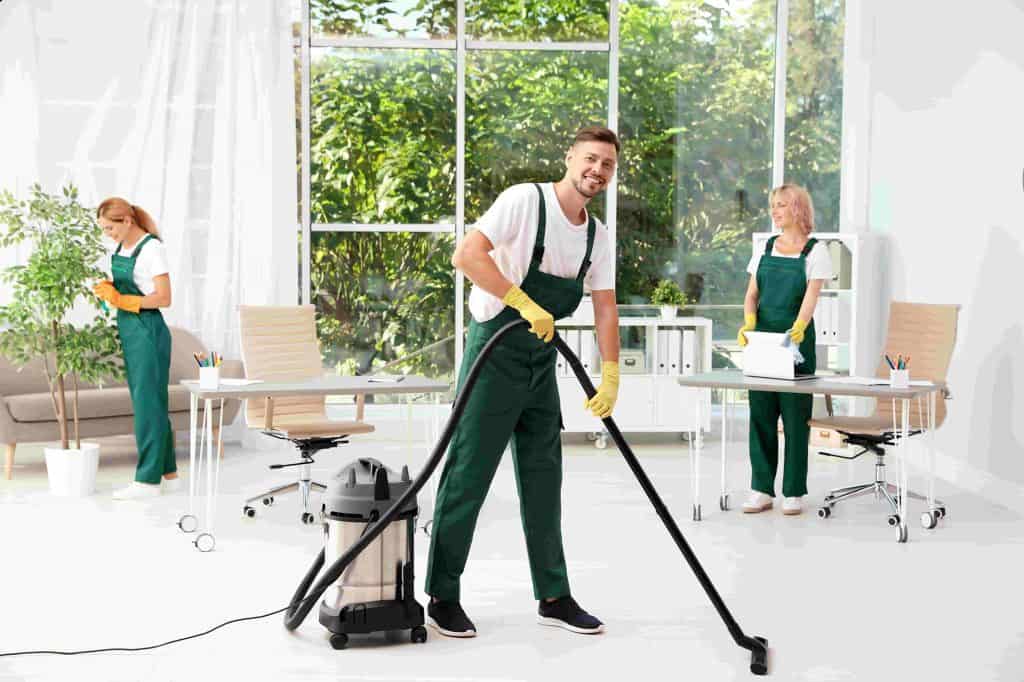Professional Residential Cleaning in Wellington